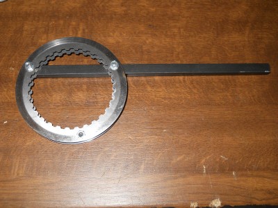 Halter 1.jpg