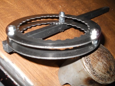 Halter 2.jpg